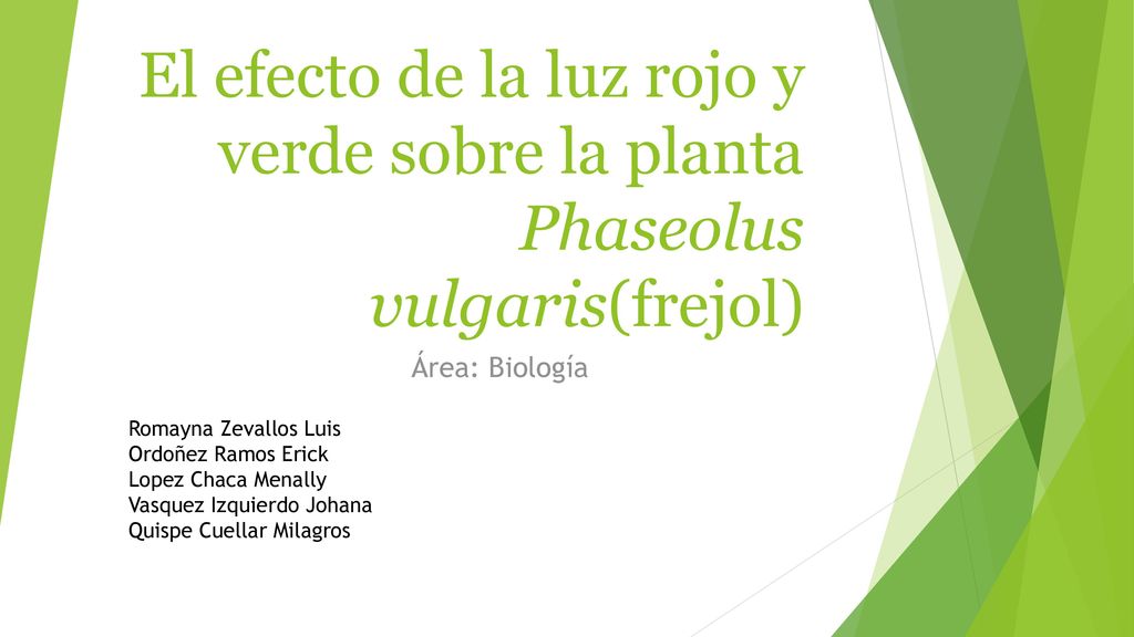 El efecto de la luz rojo y verde sobre la planta Phaseolus vulgaris(frejol)