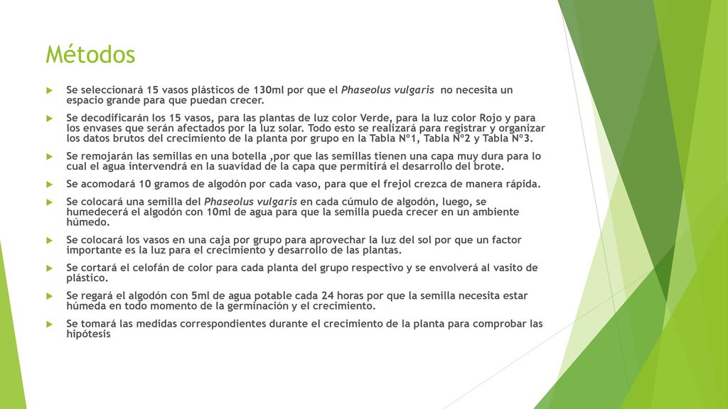 Métodos Se seleccionará 15 vasos plásticos de 130ml por que el Phaseolus vulgaris no necesita un espacio grande para que puedan crecer.