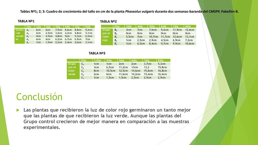 Tablas Nº1; 2; 3: Cuadro de crecimiento del tallo en cm de la planta Phaseolus vulgaris durante dos semanas-baranda del CMSPP, Pabellón B.