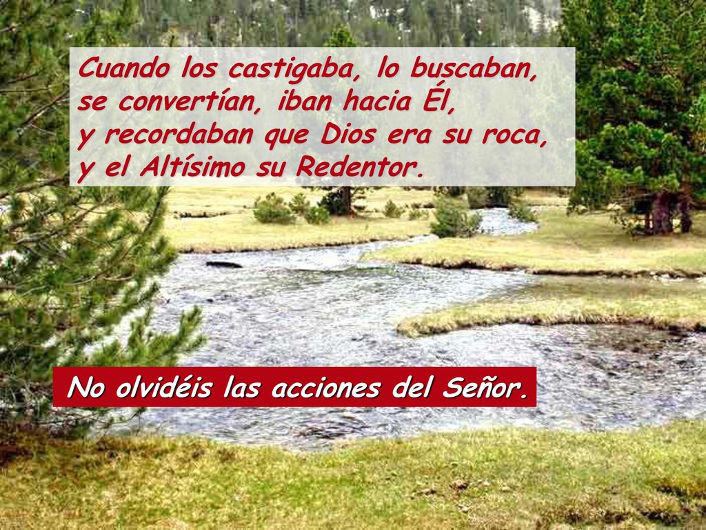 Cuando los castigaba, lo buscaban, se convertían, iban hacia Él, y recordaban que Dios era su roca, y el Altísimo su Redentor.