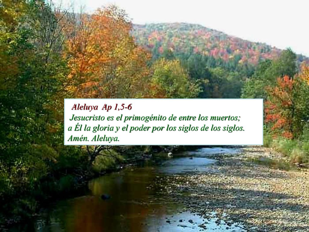 Aleluya Ap 1,5-6 Jesucristo es el primogénito de entre los muertos; a Él la gloria y el poder por los siglos de los siglos.