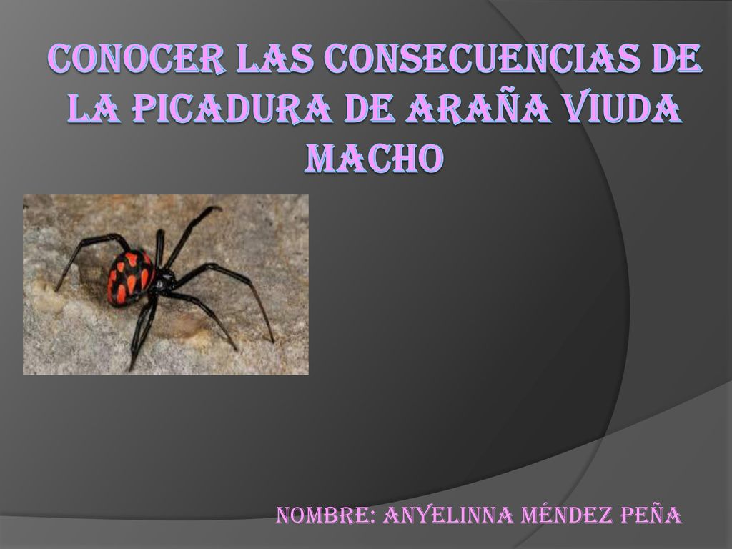 Conocer las Consecuencias de la picadura de araña viuda macho