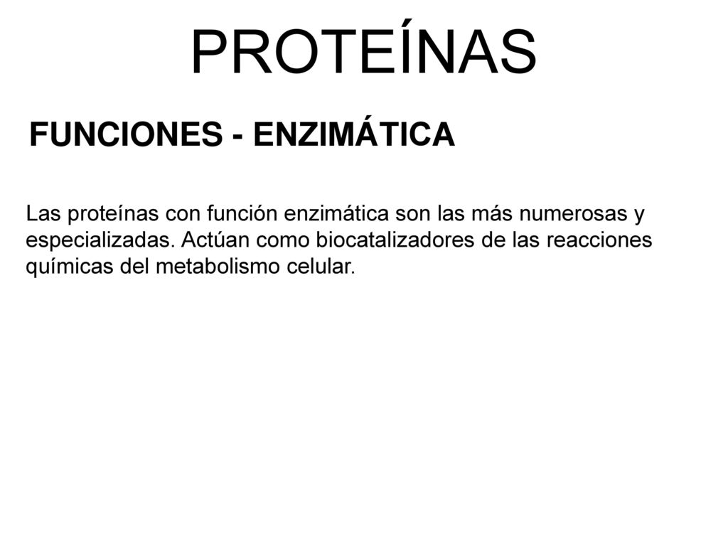 PROTEÍNAS FUNCIONES - ENZIMÁTICA