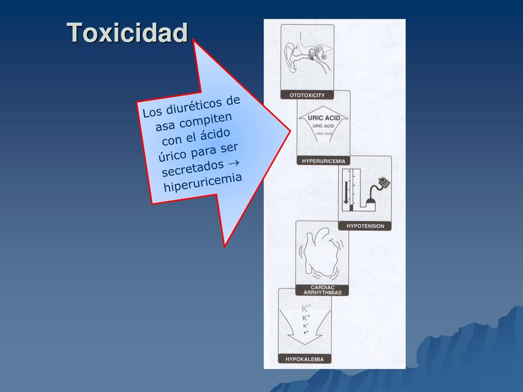 Toxicidad Los diuréticos de asa compiten con el ácido úrico para ser secretados  hiperuricemia