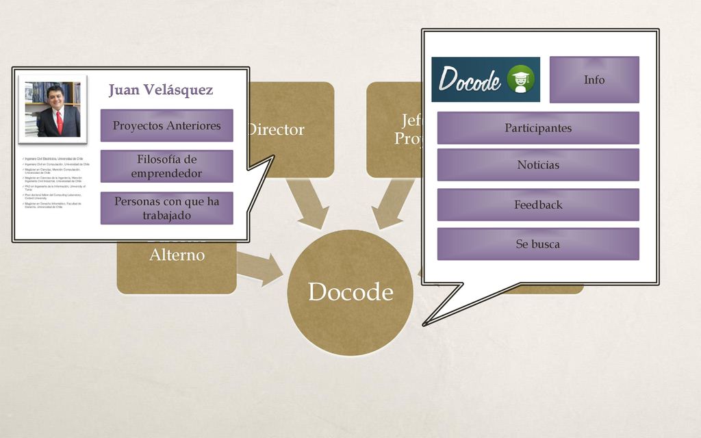 Docode Jefe de Proyecto Director Director Alterno Investigadores