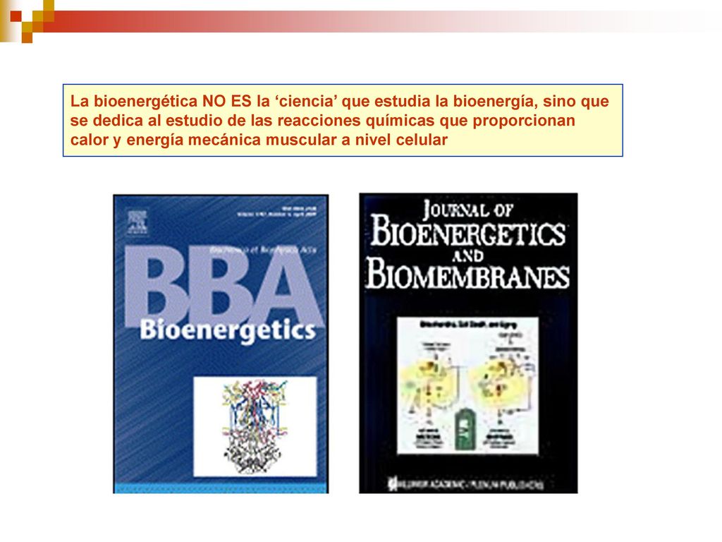 La bioenergética NO ES la ‘ciencia’ que estudia la bioenergía, sino que se dedica al estudio de las reacciones químicas que proporcionan calor y energía mecánica muscular a nivel celular