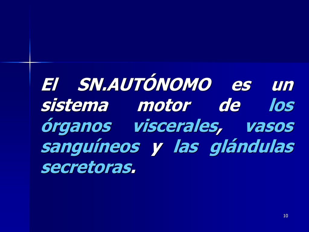 El SN.AUTÓNOMO es un sistema motor de los órganos viscerales, vasos sanguíneos y las glándulas secretoras.