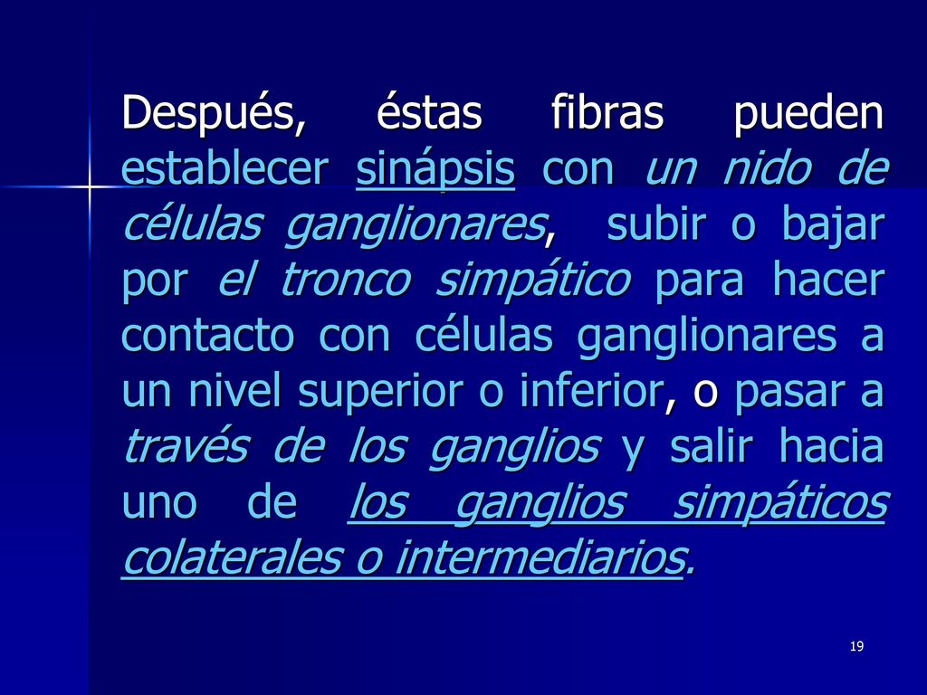 Después, éstas fibras pueden establecer sinápsis con un nido de células ganglionares, subir o bajar por el tronco simpático para hacer contacto con células ganglionares a un nivel superior o inferior, o pasar a través de los ganglios y salir hacia uno de los ganglios simpáticos colaterales o intermediarios.
