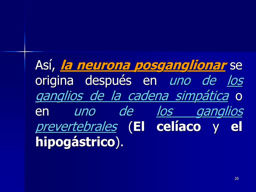 Así, la neurona posganglionar se origina después en uno de los ganglios de la cadena simpática o en uno de los ganglios prevertebrales (El celíaco y el hipogástrico).