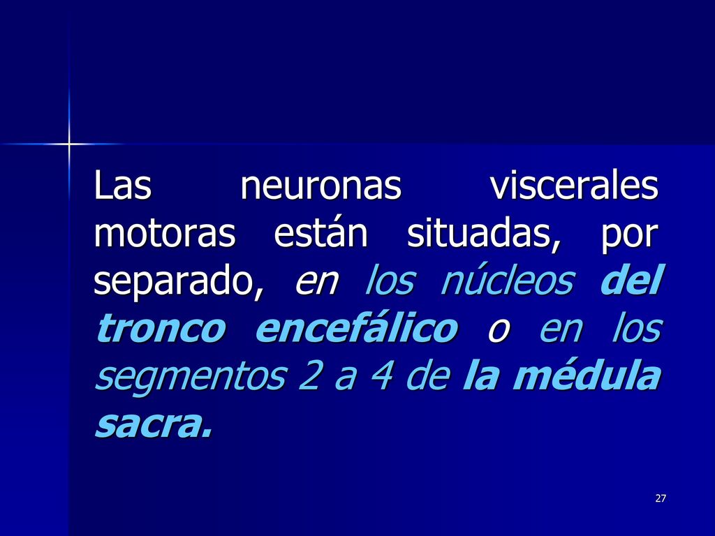 Las neuronas viscerales motoras están situadas, por separado, en los núcleos del tronco encefálico o en los segmentos 2 a 4 de la médula sacra.