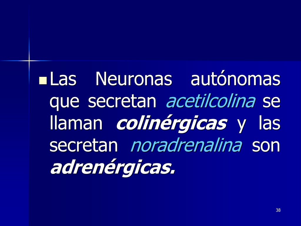 Las Neuronas autónomas que secretan acetilcolina se llaman colinérgicas y las secretan noradrenalina son adrenérgicas.