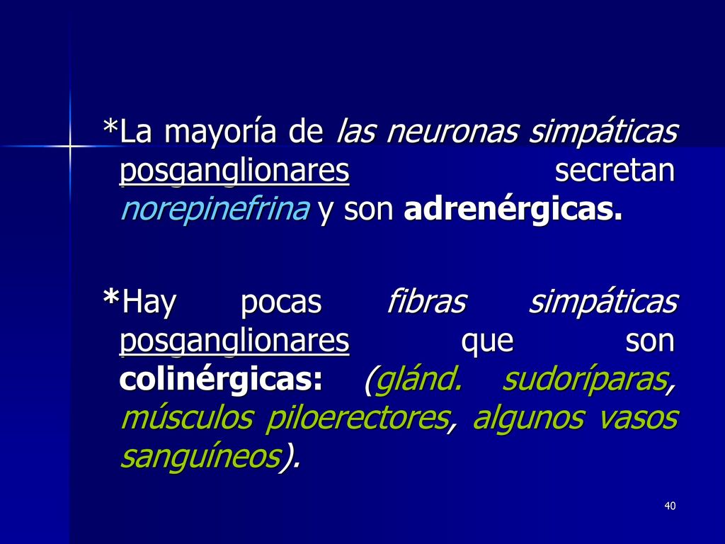 *La mayoría de las neuronas simpáticas posganglionares secretan norepinefrina y son adrenérgicas.
