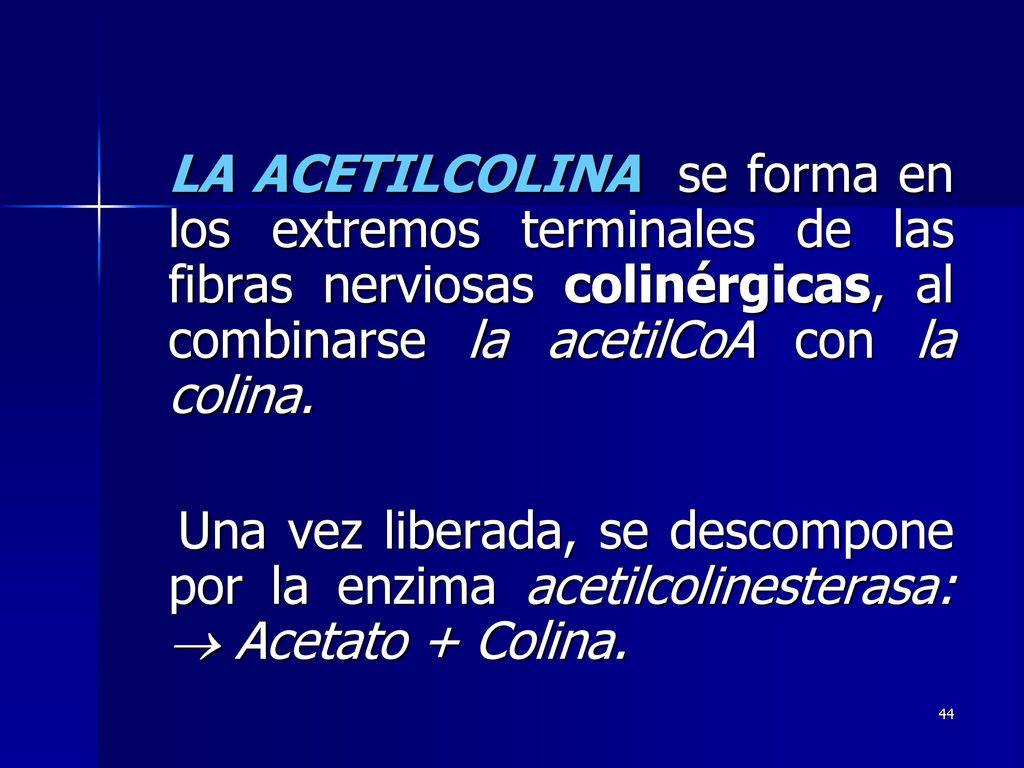 LA ACETILCOLINA se forma en los extremos terminales de las fibras nerviosas colinérgicas, al combinarse la acetilCoA con la colina.