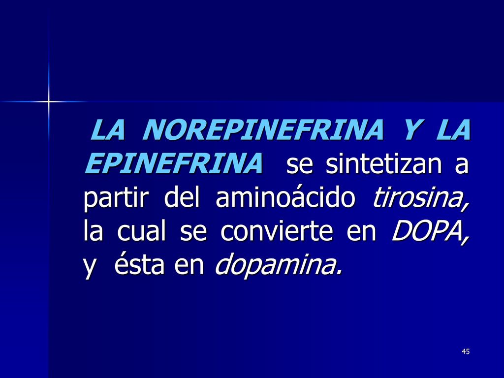 LA NOREPINEFRINA Y LA EPINEFRINA se sintetizan a partir del aminoácido tirosina, la cual se convierte en DOPA, y ésta en dopamina.