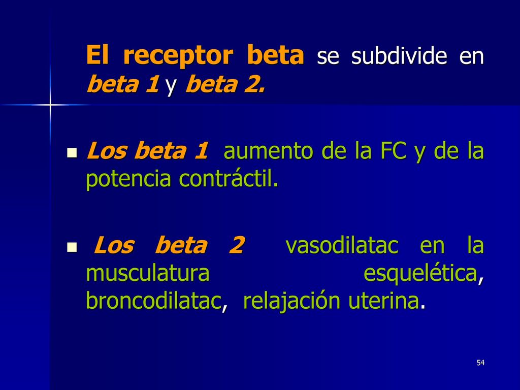 El receptor beta se subdivide en beta 1 y beta 2.