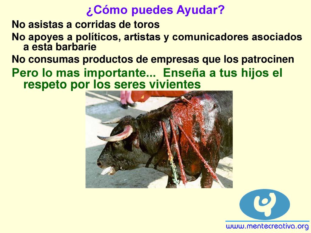 ¿Cómo puedes Ayudar No asistas a corridas de toros. No apoyes a políticos, artistas y comunicadores asociados a esta barbarie.