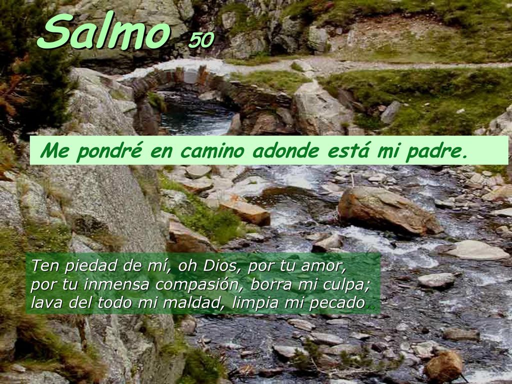Salmo 50 Me pondré en camino adonde está mi padre.