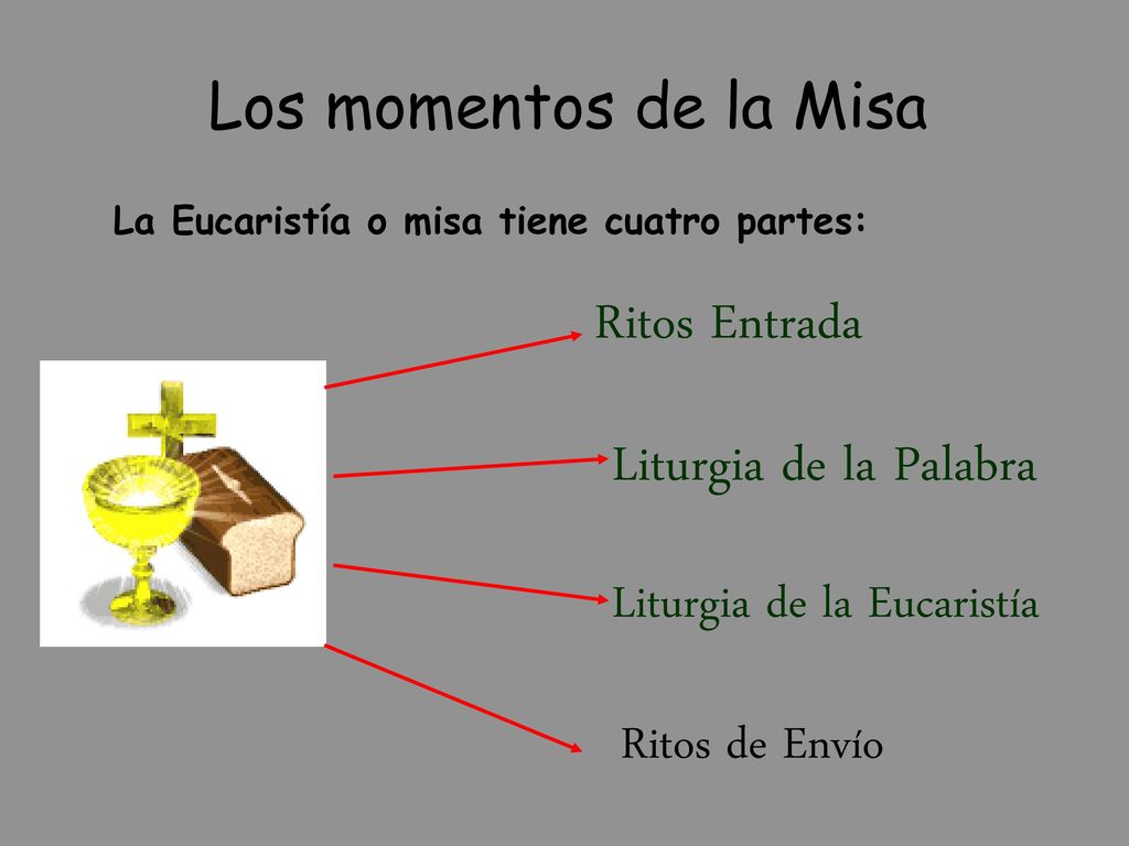 Ritos Entrada Liturgia de la Palabra Los momentos de la Misa