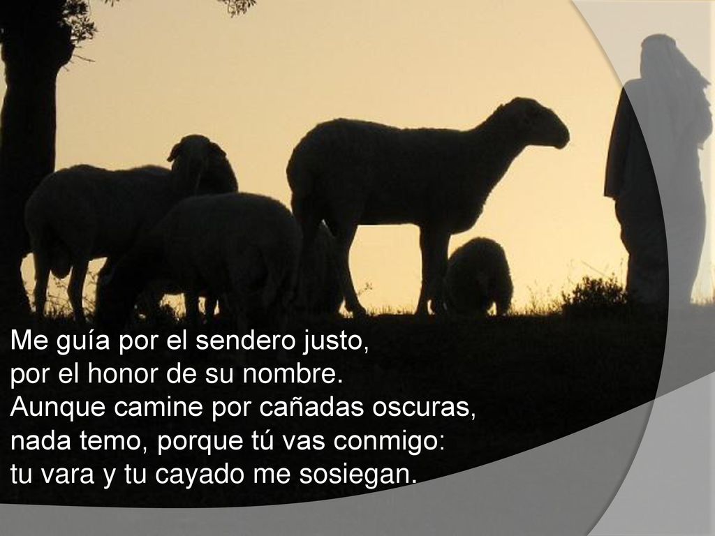 Me guía por el sendero justo, por el honor de su nombre