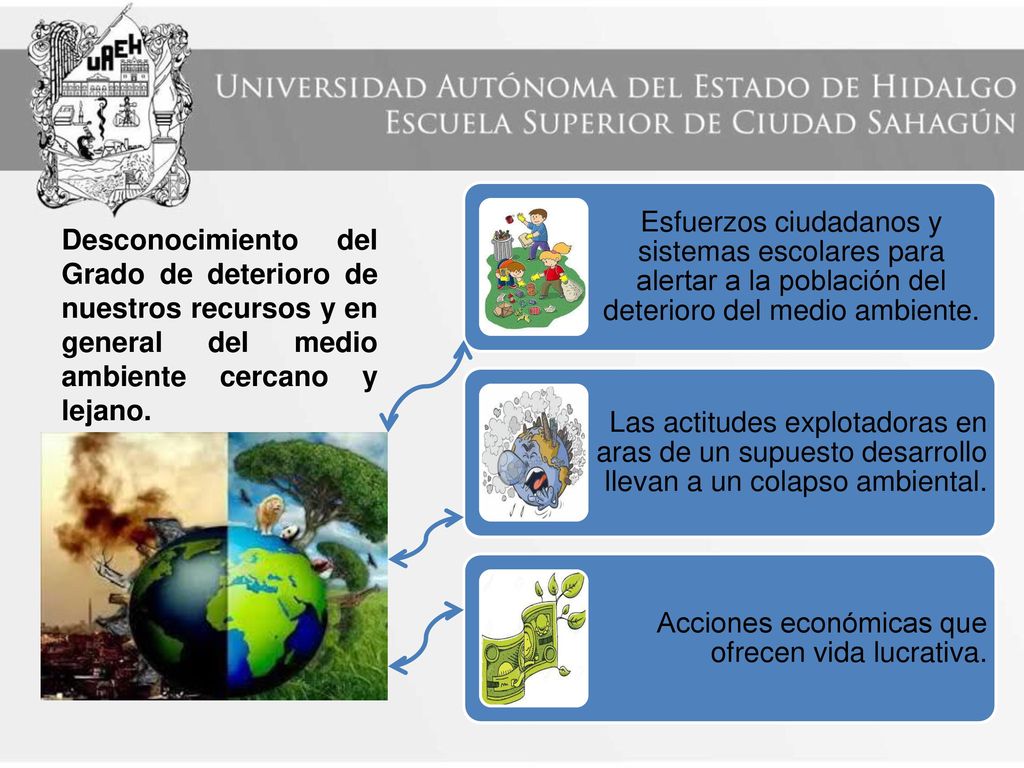 Esfuerzos ciudadanos y sistemas escolares para alertar a la población del deterioro del medio ambiente.