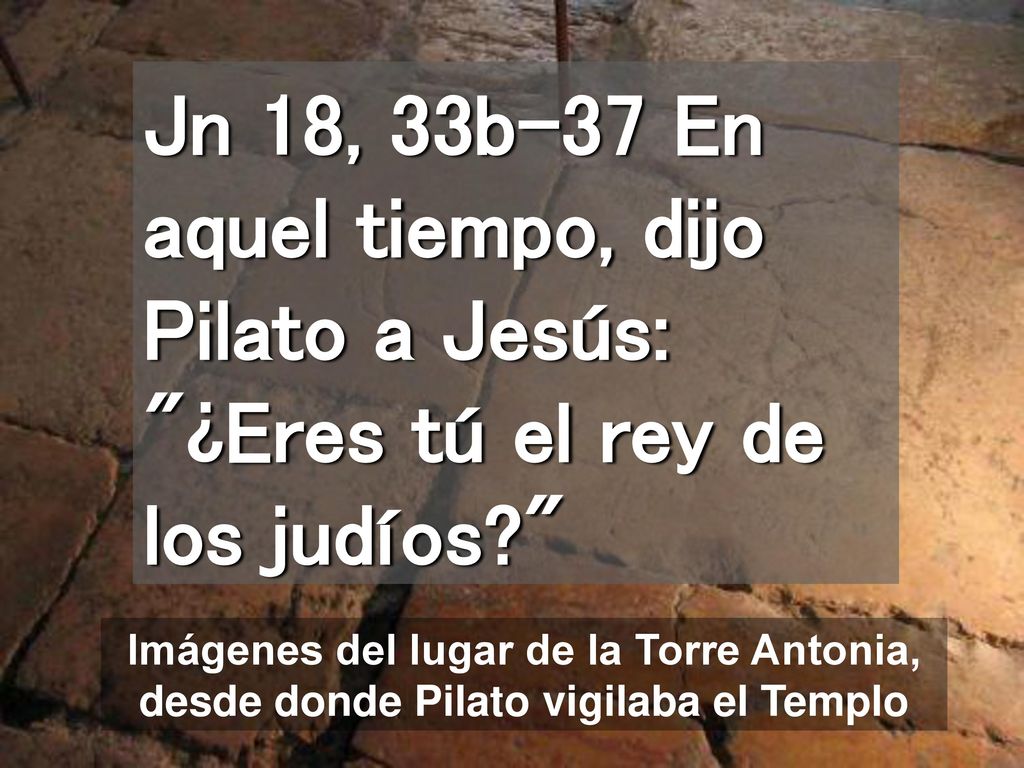 Jn 18, 33b-37 En aquel tiempo, dijo Pilato a Jesús: ¿Eres tú el rey de los judíos