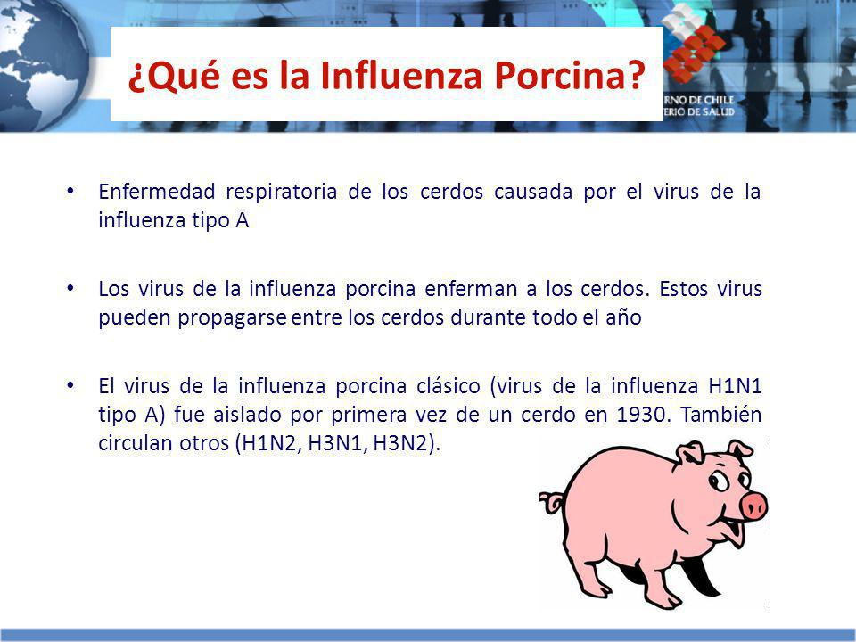 ¿Qué es la Influenza Porcina