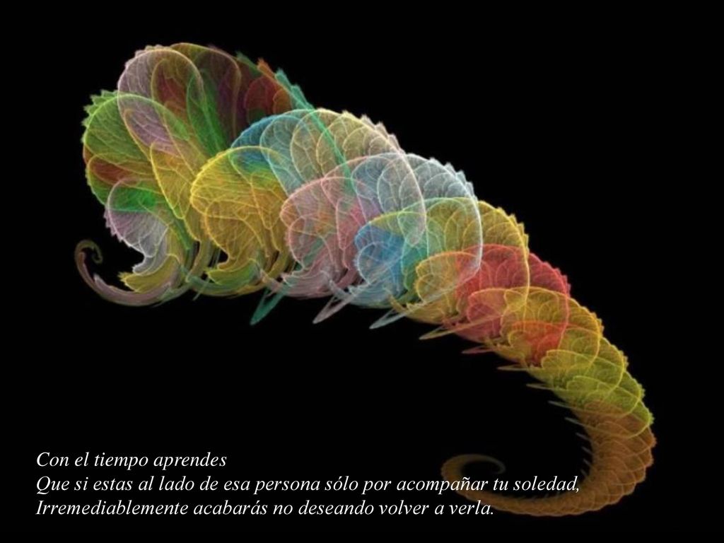 Con el tiempo aprendes Que si estas al lado de esa persona sólo por acompañar tu soledad, Irremediablemente acabarás no deseando volver a verla.