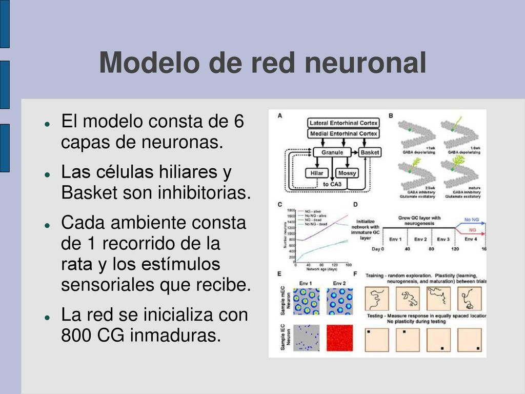 Modelo de red neuronal El modelo consta de 6 capas de neuronas.