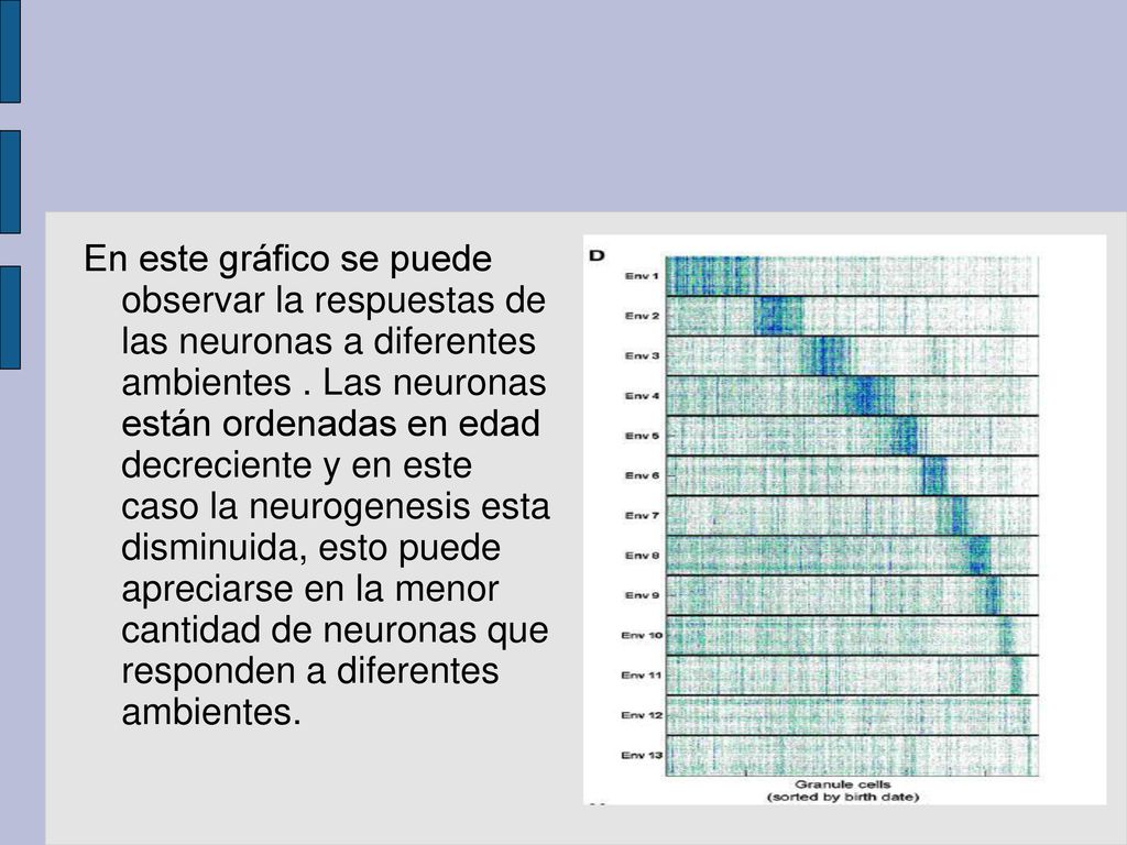 En este gráfico se puede observar la respuestas de las neuronas a diferentes ambientes .