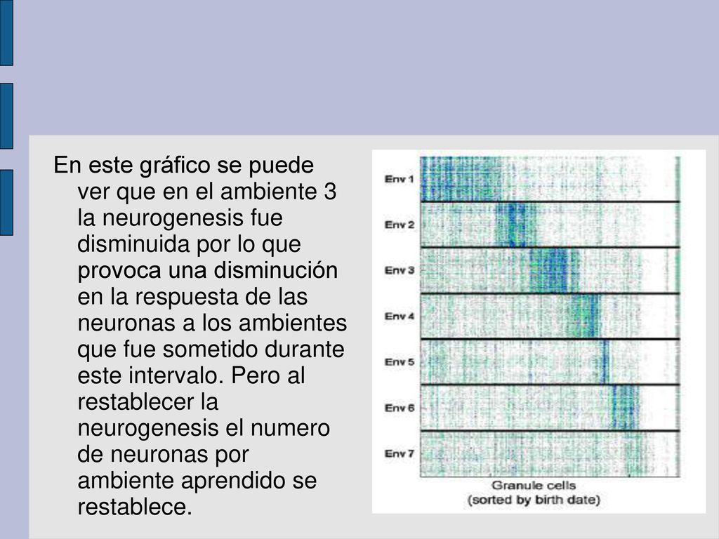 En este gráfico se puede ver que en el ambiente 3 la neurogenesis fue disminuida por lo que provoca una disminución en la respuesta de las neuronas a los ambientes que fue sometido durante este intervalo.