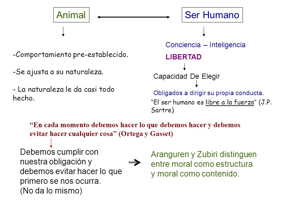 Animal Ser Humano. Conciencia – Inteligencia. LIBERTAD. Capacidad De Elegir. Obligados a dirigir su propia conducta.