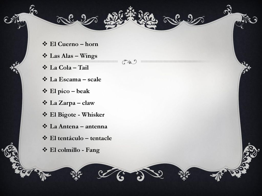 El Cuerno – horn Las Alas – Wings. La Cola – Tail. La Escama – scale. El pico – beak. La Zarpa – claw.