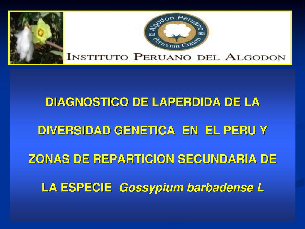 DIAGNOSTICO DE LAPERDIDA DE LA DIVERSIDAD GENETICA EN EL PERU Y ZONAS DE REPARTICION SECUNDARIA DE LA ESPECIE Gossypium barbadense L