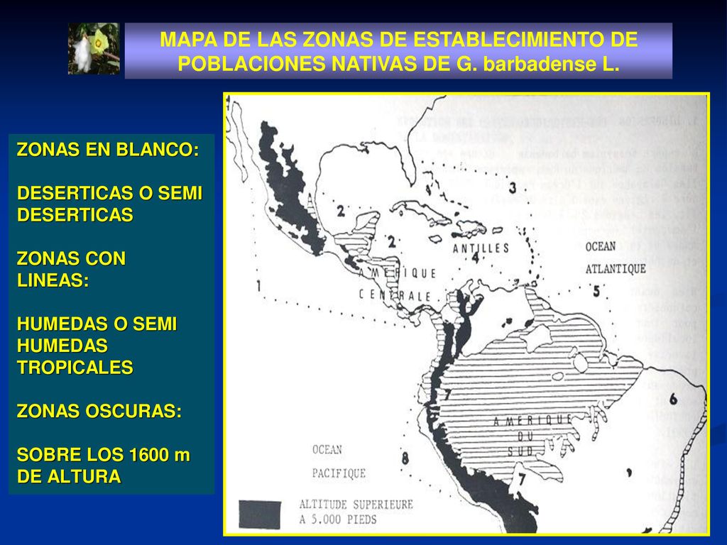 MAPA DE LAS ZONAS DE ESTABLECIMIENTO DE POBLACIONES NATIVAS DE G