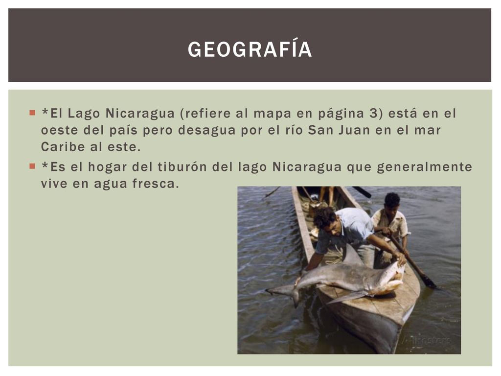 geografía *El Lago Nicaragua (refiere al mapa en página 3) está en el oeste del país pero desagua por el río San Juan en el mar Caribe al este.