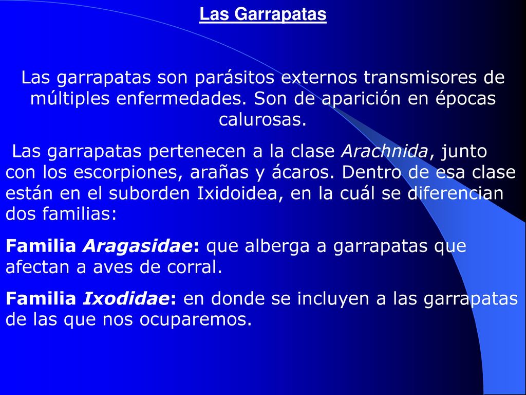 Las Garrapatas Las garrapatas son parásitos externos transmisores de múltiples enfermedades. Son de aparición en épocas calurosas.
