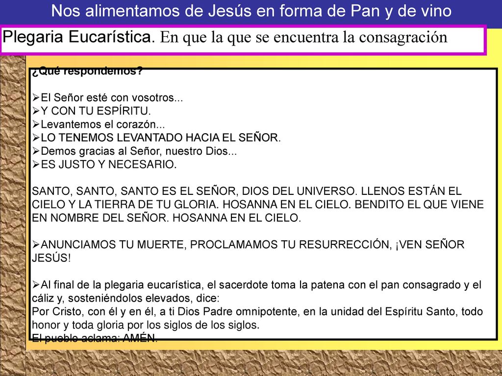 Nos alimentamos de Jesús en forma de Pan y de vino