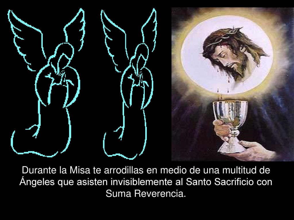 Durante la Misa te arrodillas en medio de una multitud de Ángeles que asisten invisiblemente al Santo Sacrificio con Suma Reverencia.