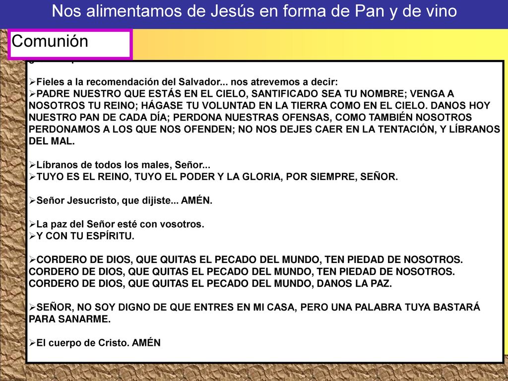 Nos alimentamos de Jesús en forma de Pan y de vino