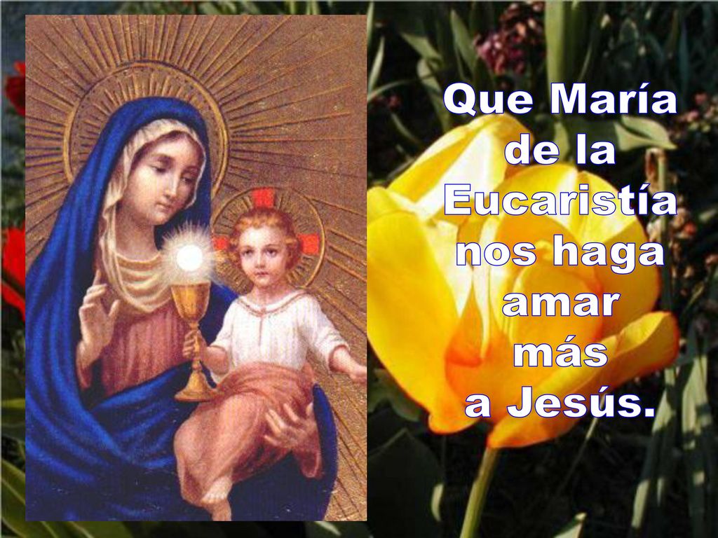 Que María de la Eucaristía nos haga amar más a Jesús.