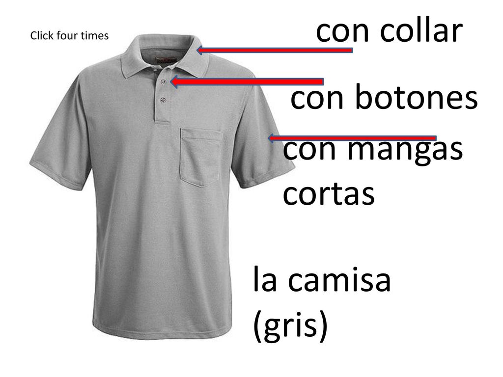 con collar con botones con mangas cortas la camisa (gris)