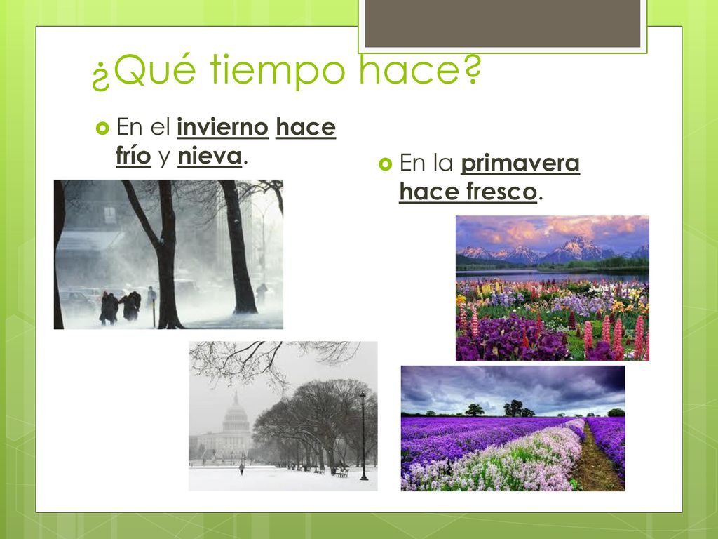 ¿Qué tiempo hace En el invierno hace frío y nieva.