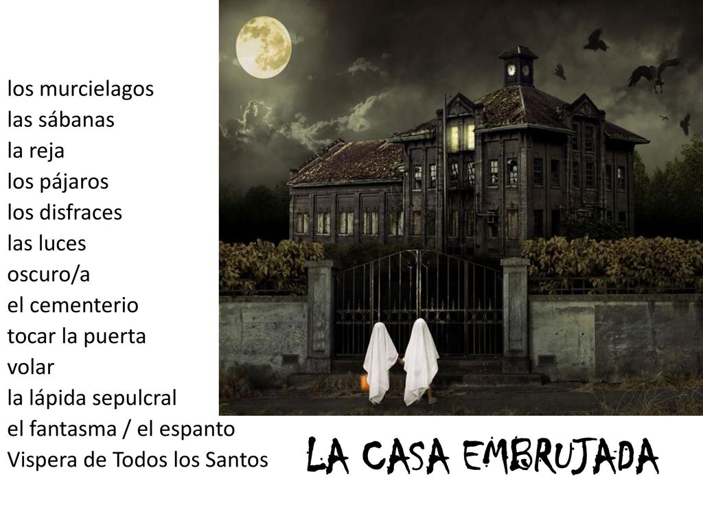 LA CASA EMBRUJADA los murcielagos las sábanas la reja los pájaros