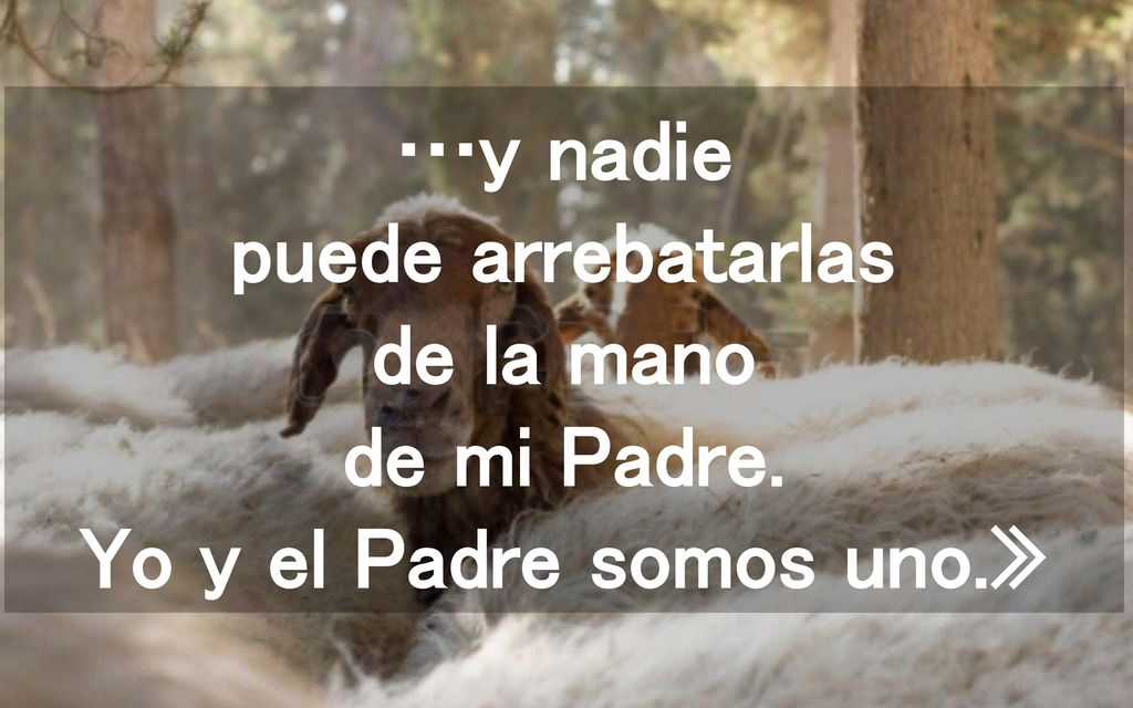 …y nadie puede arrebatarlas de la mano de mi Padre