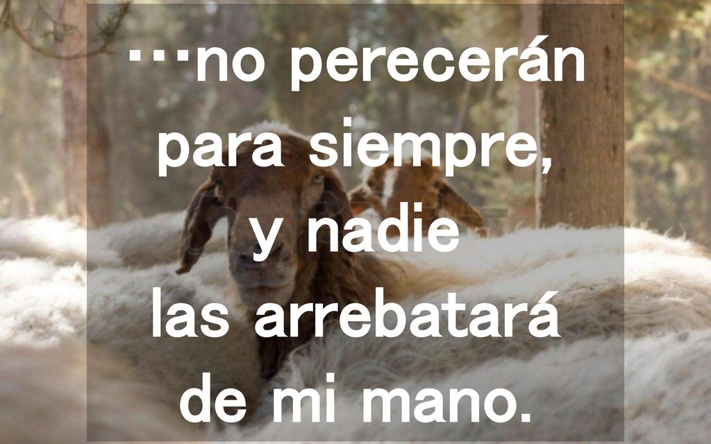 …no perecerán para siempre, y nadie las arrebatará de mi mano.