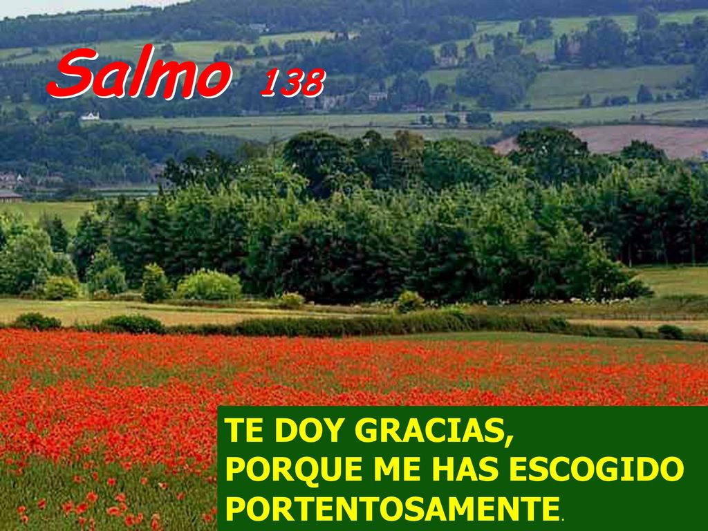 Salmo 138 TE DOY GRACIAS, PORQUE ME HAS ESCOGIDO PORTENTOSAMENTE.