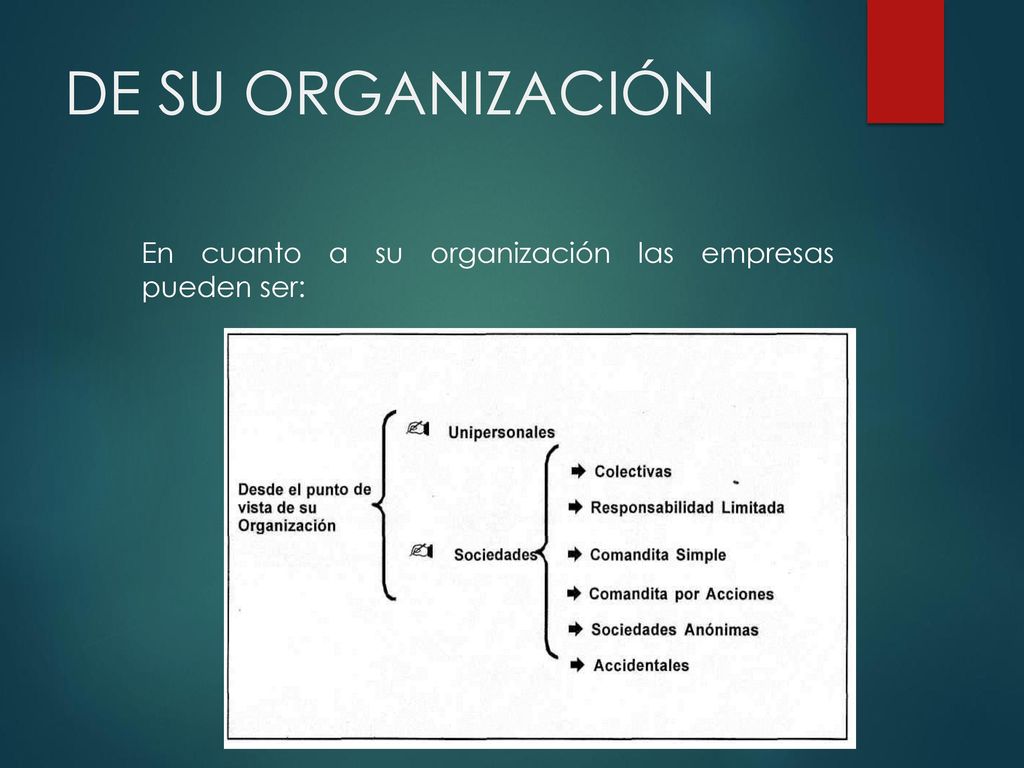 DE SU ORGANIZACIÓN En cuanto a su organización las empresas pueden ser: