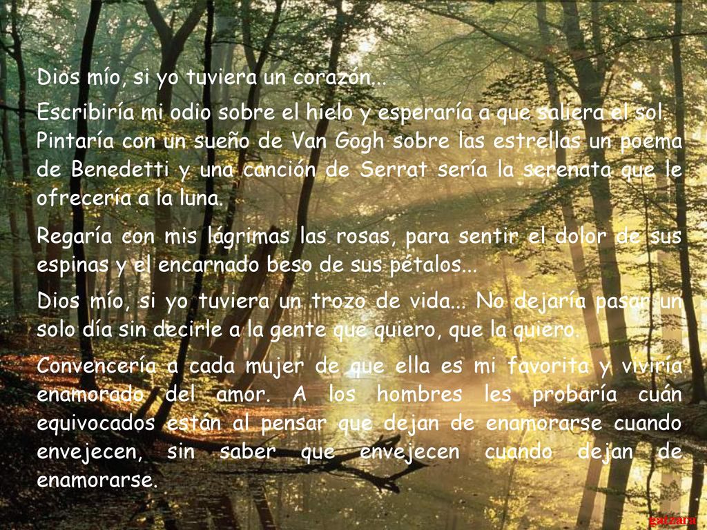 Dios mío, si yo tuviera un corazón...