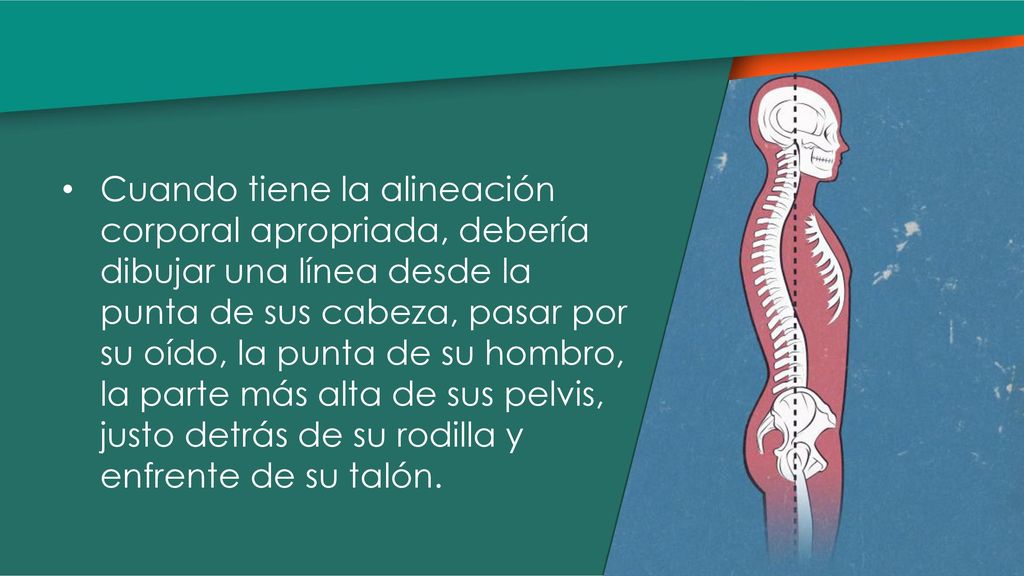 Cuando tiene la alineación corporal apropriada, debería dibujar una línea desde la punta de sus cabeza, pasar por su oído, la punta de su hombro, la parte más alta de sus pelvis, justo detrás de su rodilla y enfrente de su talón.