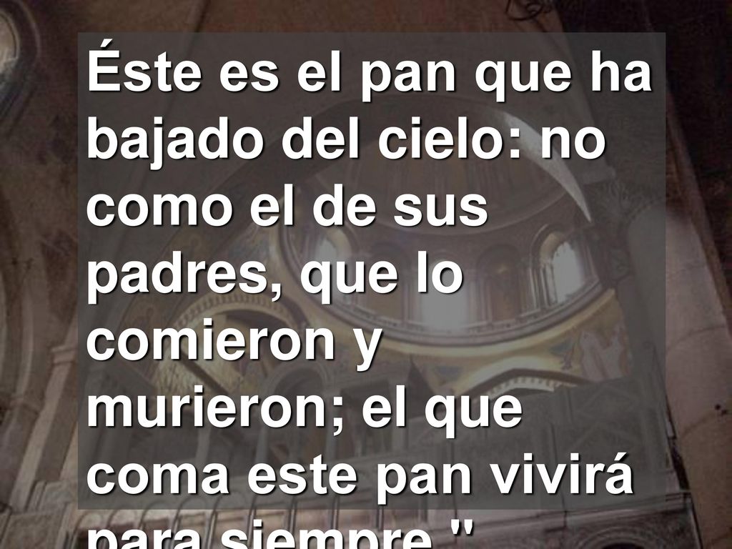 Éste es el pan que ha bajado del cielo: no como el de sus padres, que lo comieron y murieron; el que coma este pan vivirá para siempre.